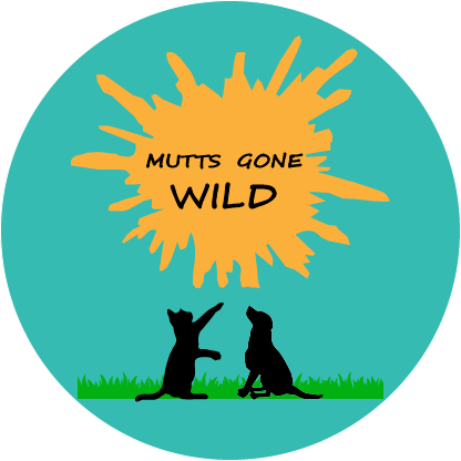 Mutts Gone Wild