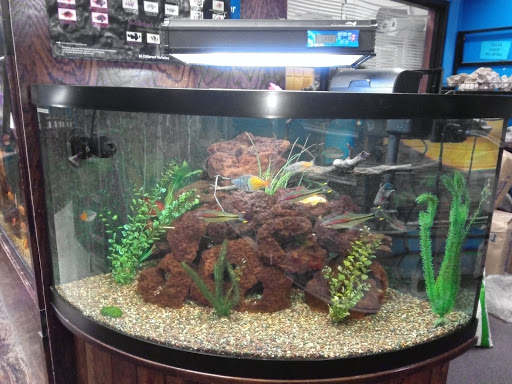 Pet Supply Store «Tropical World Pets», reviews and photos, 8444 Watson Rd, Webster Groves, MO 63119, USA
