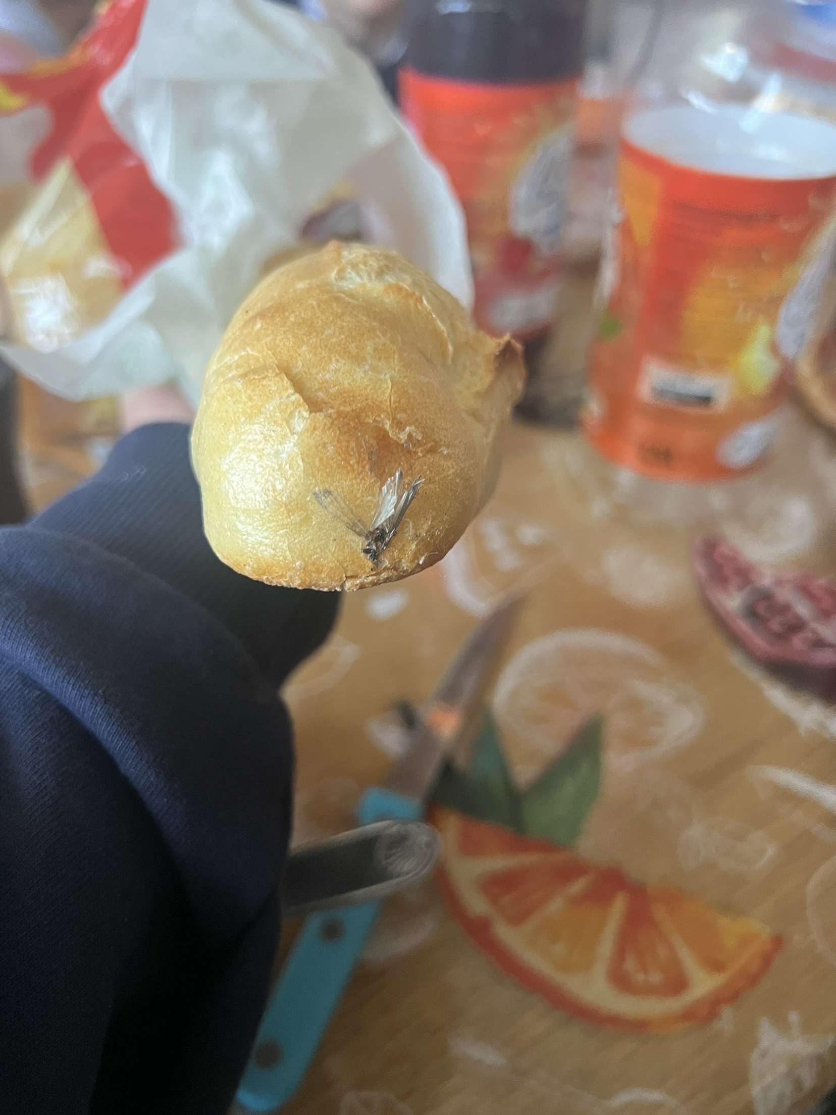 Photo n° 1 de l'avis de origine.r fait le 20/01/2024 à 13:04