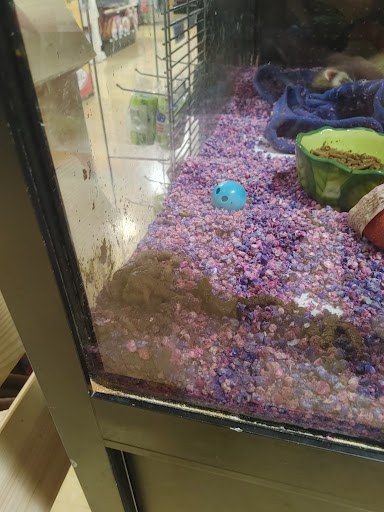Pet Store «Feeders Supply», reviews and photos, 187 Adam Shepherd Pkwy # 2, Shepherdsville, KY 40165, USA