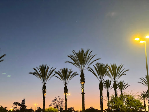 Shopping Mall «La Jolla Village Square», reviews and photos, 8657 Villa La Jolla Dr, La Jolla, CA 92037, USA