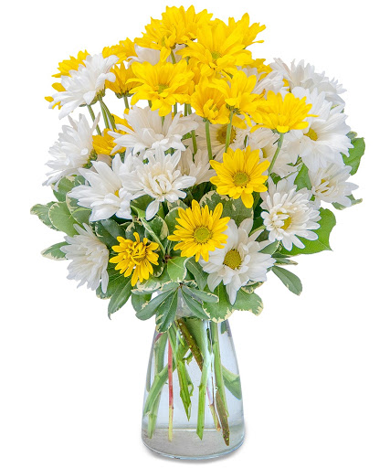 Florist «Shotwell Floral Greenhouses», reviews and photos, 4000 40th St S, Fargo, ND 58104, USA