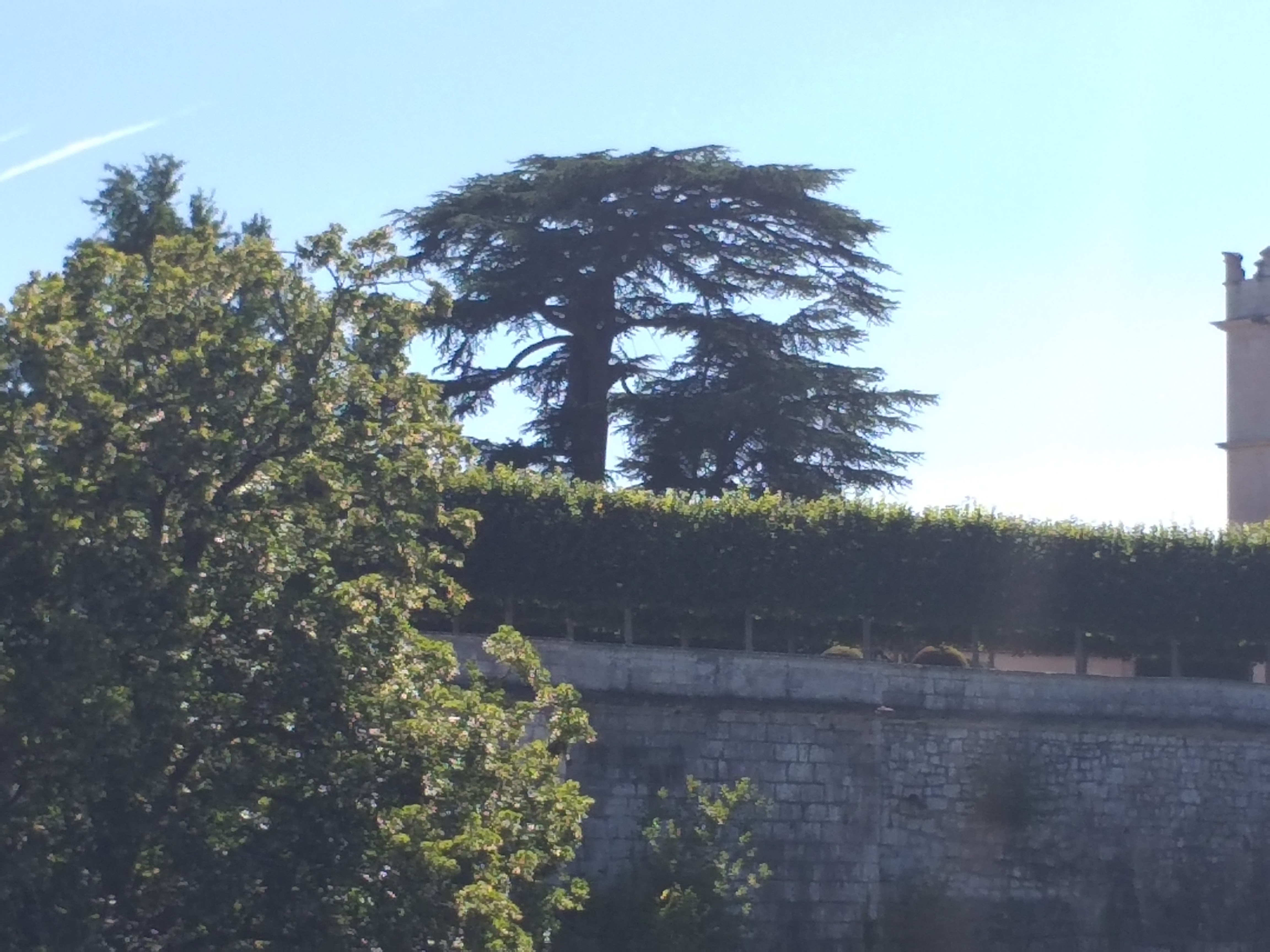 Photo n° 8 de l'avis de christelle.a fait le 16/07/2023 à 16:27