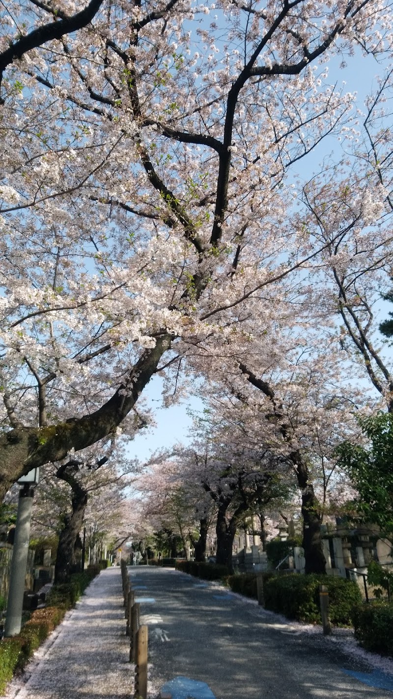 青山公園 南地区