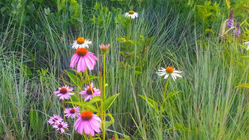 Park «Huset Park», reviews and photos, 3965 Jefferson St NE, Columbia Heights, MN 55421, USA