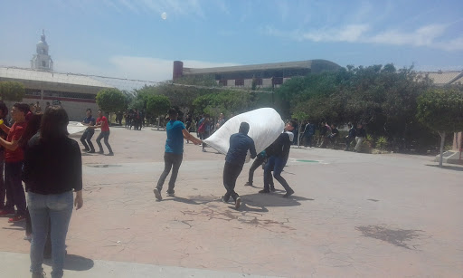 Ventas de plantel en Tijuana