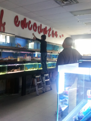 Aquarium Shop «Reef Encounter-Bergen County», reviews and photos, 504 Hudson St, Hackensack, NJ 07601, USA