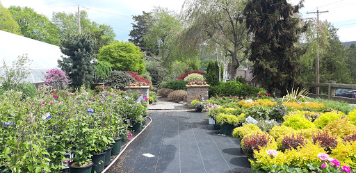 Florist «Laurel Grove Florist», reviews and photos, 16 High St, Port Jervis, NY 12771, USA