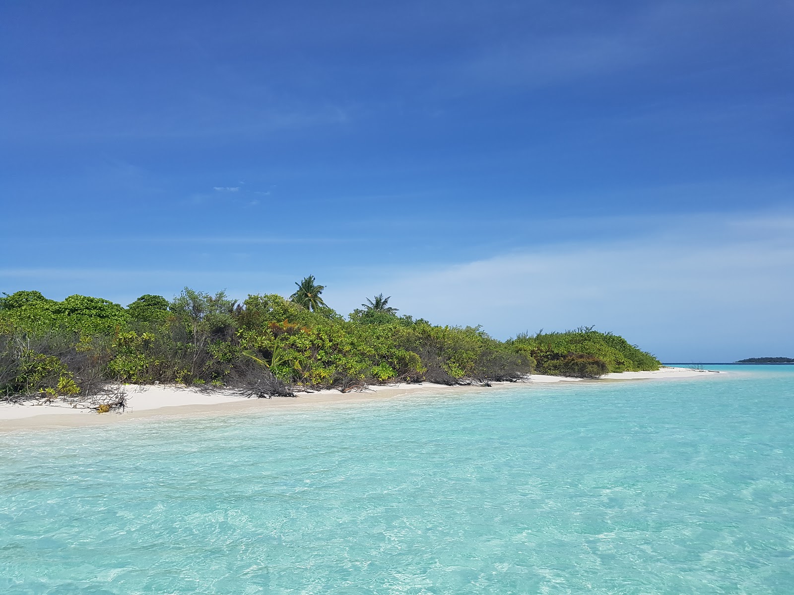 Bodukaashihuraa photo #8