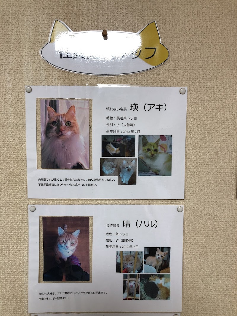 Cafeゆうなぎ 東京都小平市花小金井南町 カフェ 喫茶 カフェ グルコミ