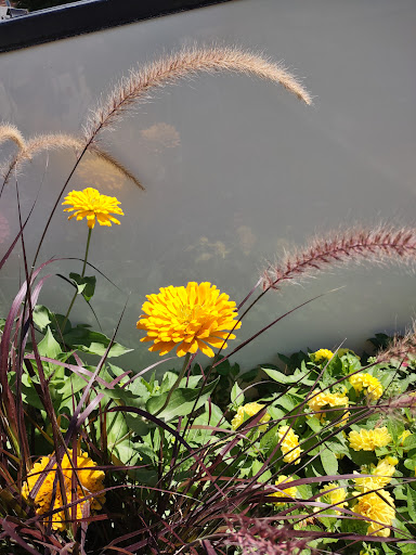 Shopping Mall «Sugar House Shopping Center», reviews and photos, 2274 S 1300 E, Salt Lake City, UT 84106, USA