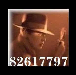 INVESTIGADOR PRIVADO ARICA - Illapel