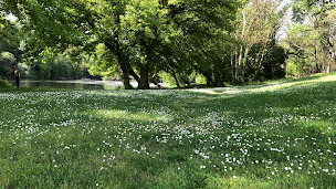 Photo n°9 de La Guinguette du Vieux Chêne à Montvalent ()