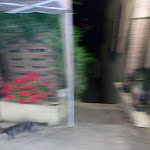 Photo n°31 de l'avis de Gianpietro.a fait le 31/05/2022 à 13:02 sur le  Funtana Noa à Villanovaforru