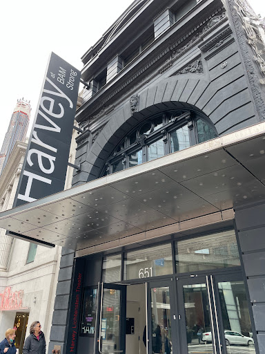 Performing Arts Theater «BAM Harvey Theater», reviews and photos, 651 Fulton St, Brooklyn, NY 11217, USA