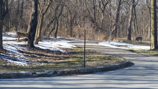 State Park «Brezina Woods», reviews and photos, N La Grange Rd, La Grange Park, IL 60526, USA