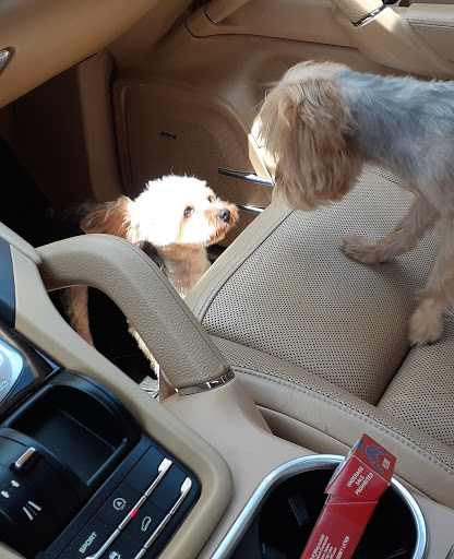 Pet Supply Store «Petco Animal Supplies», reviews and photos, 5215 Lakewood Blvd, Lakewood, CA 90712, USA