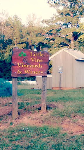 Winery «Little Vine Vineyards», reviews and photos, 665 N Hulett Rd, Villa Rica, GA 30180, USA