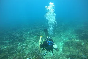 Gili Scuba Diving image