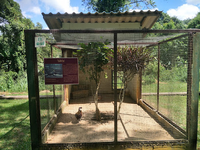 สวนสัตว์เปิดเขาค้อ Khao Kho Open Zoo