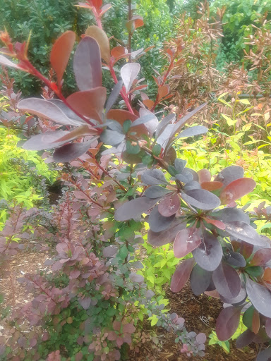 Park «Viewpoint Park», reviews and photos, 134th & NE 24th Street, Bellevue, WA 98005, USA