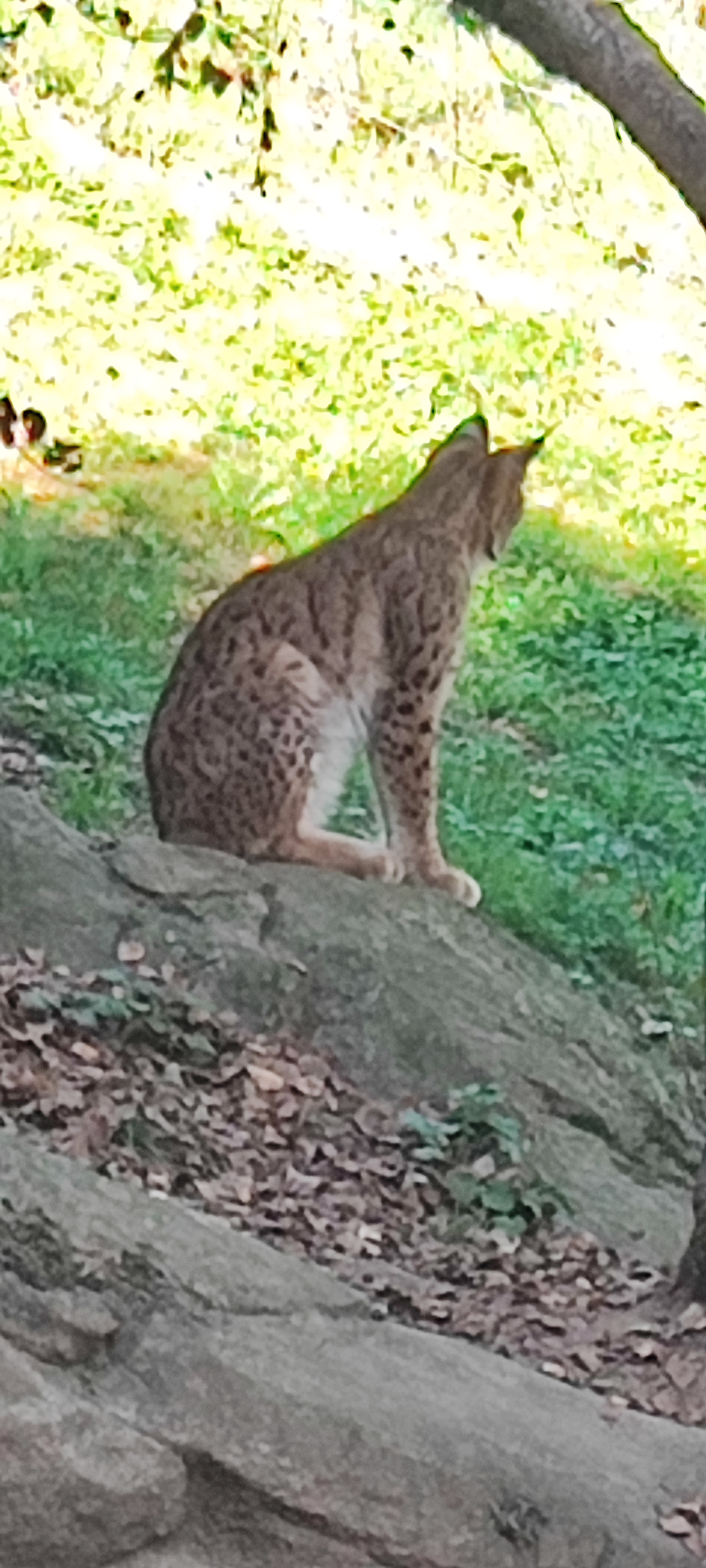 Photo n° 17 de l'avis de Thierry.i fait le 28/09/2023 à 17:40