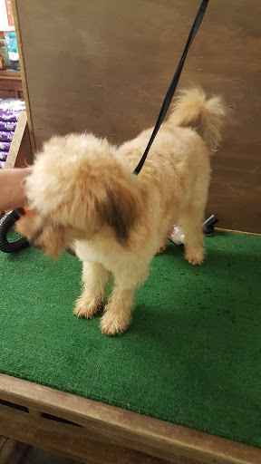 Pet Supply Store «Wags & Whiskers - West Nashville», reviews and photos, 3731 Charlotte Ave, Nashville, TN 37209, USA