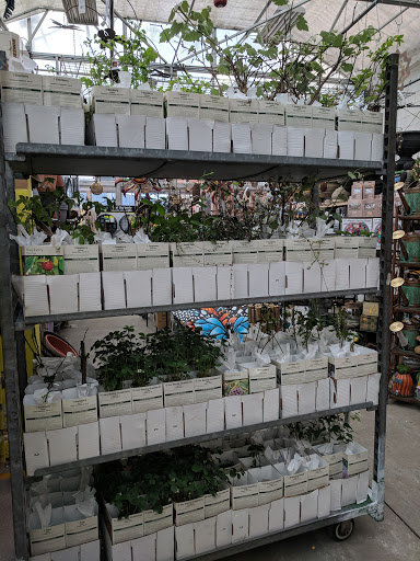 Florist «Metropolitan Plant & Flower Exchange Inc.», reviews and photos, 2125 Fletcher Ave, Fort Lee, NJ 07024, USA