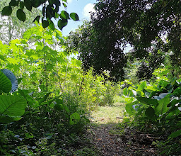 Parque Fovissste 1a Etapa photo