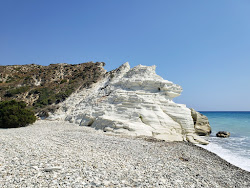 Wild dog's beach'in fotoğrafı vahşi alan