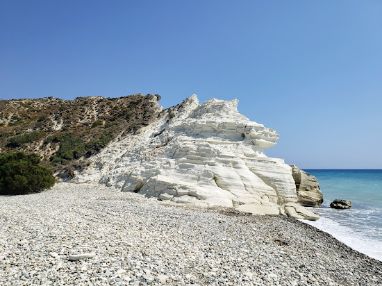 Wild dog's beach