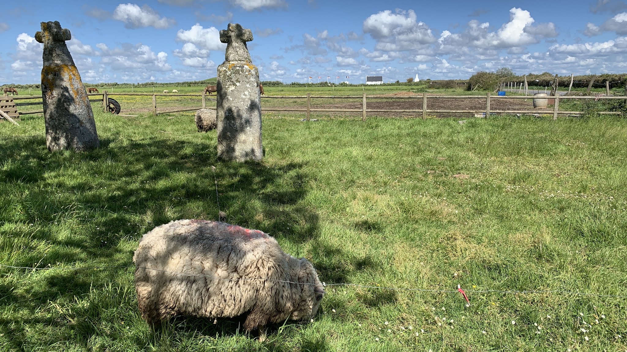 Photo n° 1 de l'avis de Walter.o fait le 25/06/2019 à 14:39