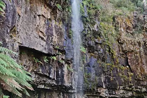 Bindaree Falls image