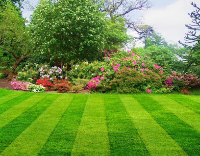 The Lawn Don Landscaping Services