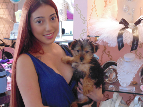 Pet Store «Puppy Boutique Store», reviews and photos, 4001 N Federal Hwy, Fort Lauderdale, FL 33308, USA