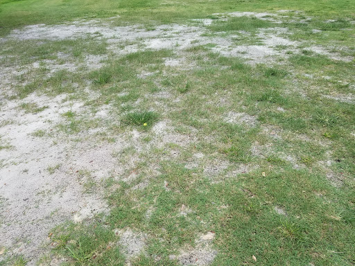 Golf Club «River Ridge Golf Club», reviews and photos, 11022 Tee Time Cir, New Port Richey, FL 34654, USA