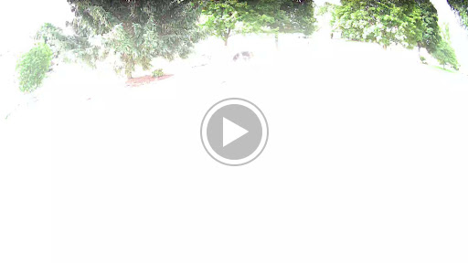 Mailing Service «United Delivery Service», reviews and photos, 1111 N Ridge Ave, Lombard, IL 60148, USA