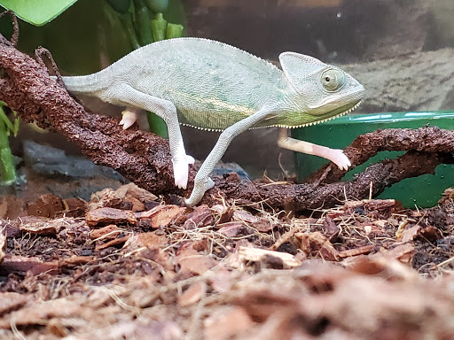 Pet Supply Store «Petco Animal Supplies», reviews and photos, 48 Watertower Plaza, Leominster, MA 01453, USA