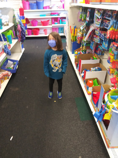 Dollar Store «Dollar Tree», reviews and photos, 1832 Leithsville Rd, Hellertown, PA 18055, USA