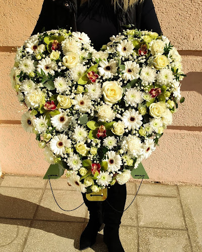 Comentarii opinii despre Living Virág Stúdió