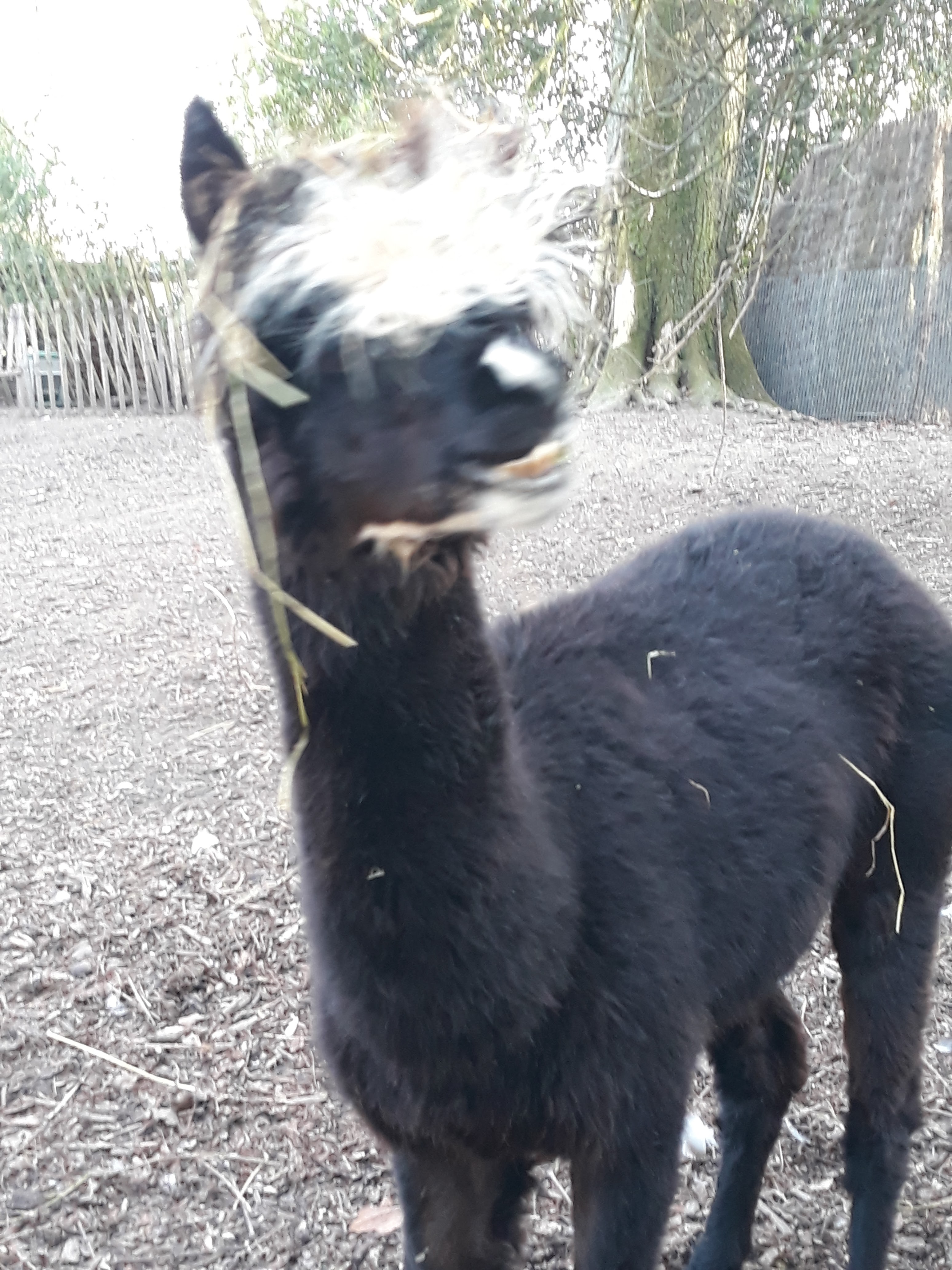 Photo n° 12 de l'avis de Priscillia.r fait le 18/02/2019 à 12:48