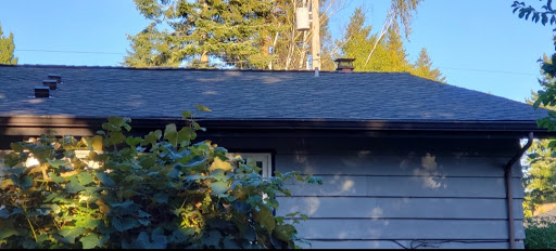 All Phase Roof Care in Snohomish, Washington