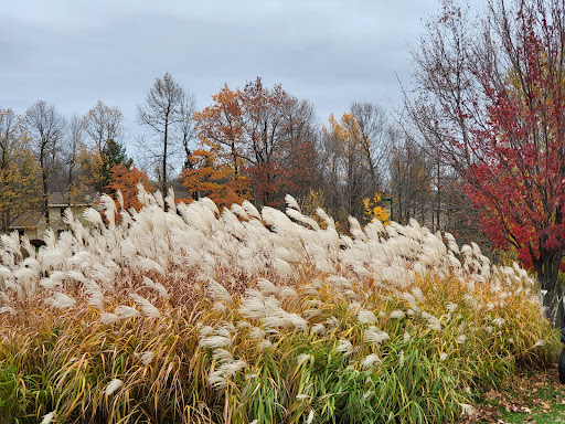 Resort «Sugar Lake Lodge», reviews and photos, 37584 Otis Ln, Cohasset, MN 55721, USA