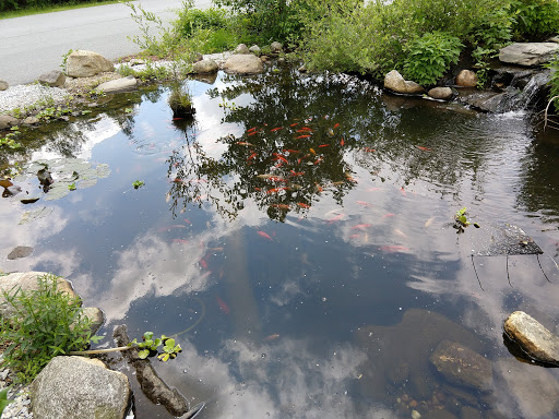 Pet Store «Zoo Creatures Pet Store», reviews and photos, 149 Plaistow Rd, Plaistow, NH 03865, USA