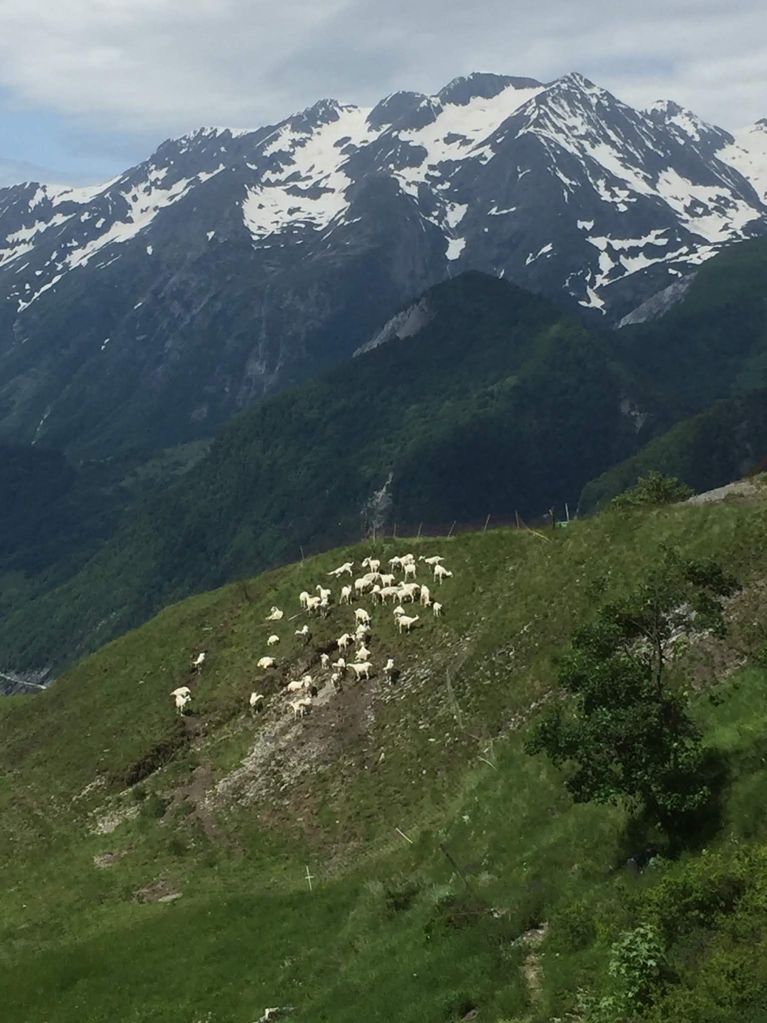 Photo n° 4 de l'avis de Petra. fait le 25/07/2018 à 12:11