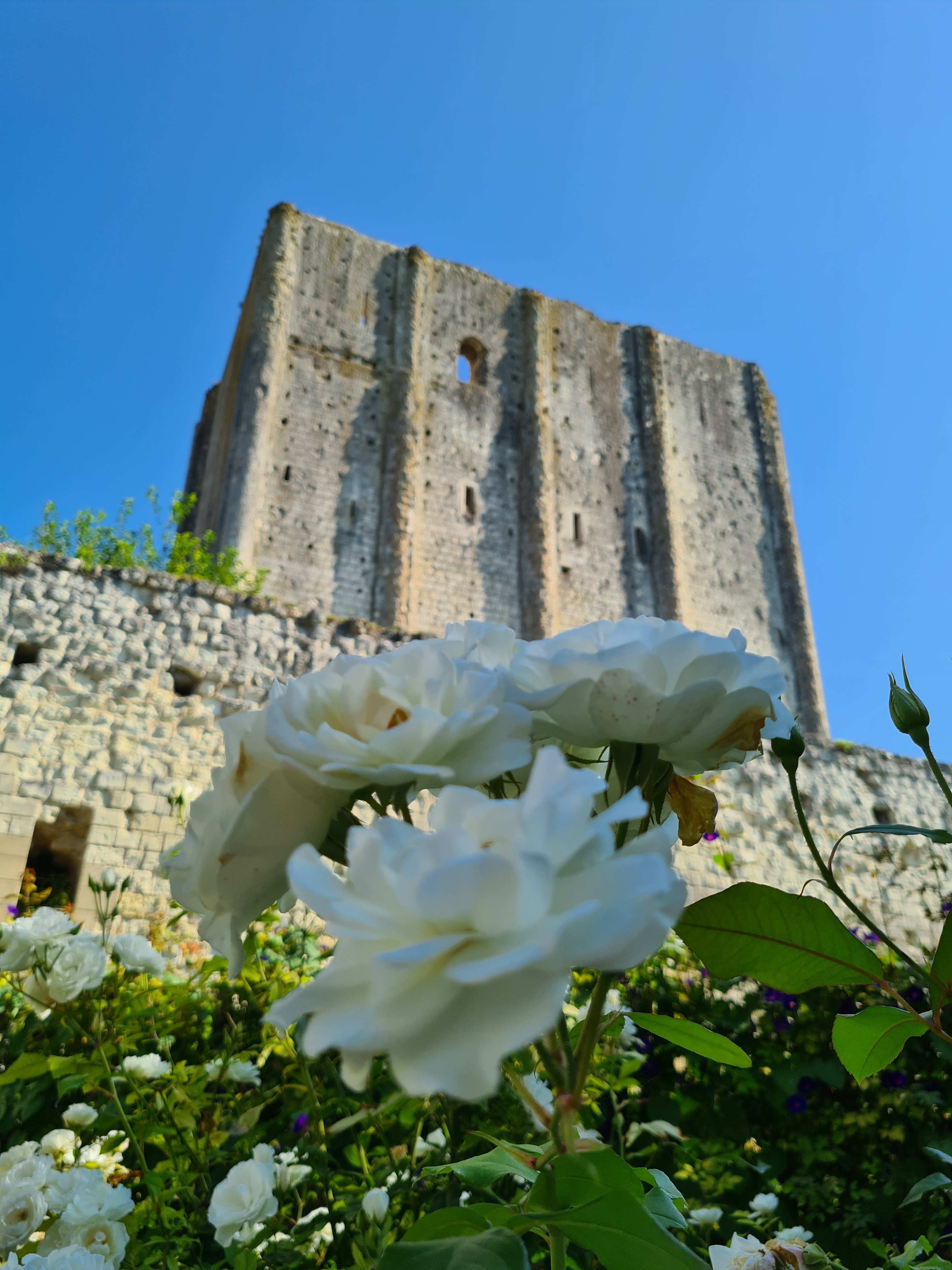 Photo n° 9 de l'avis de Valentin.o fait le 15/08/2021 à 11:28