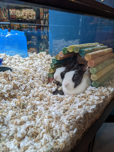 Pet Store «The Pet Works», reviews and photos, 407 4th Ave E, Olympia, WA 98501, USA