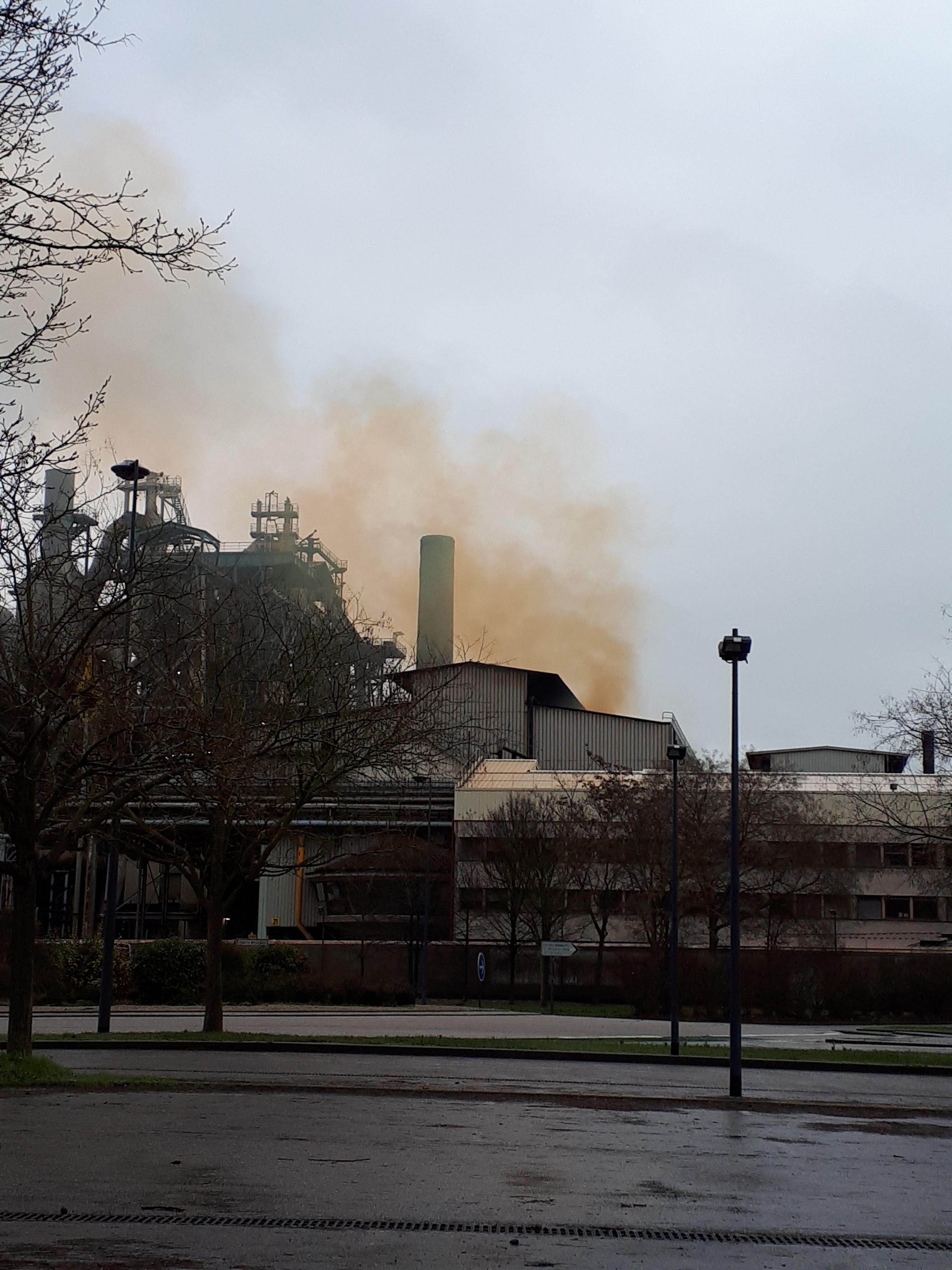 Photo n° 1 de l'avis de SL. fait le 12/02/2021 à 16:21