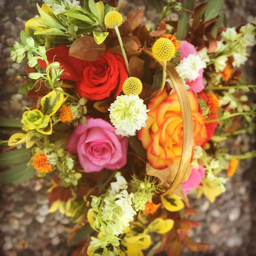 Florist «Frangipani Flowers & Gifts», reviews and photos, 1203 4th St, San Rafael, CA 94901, USA