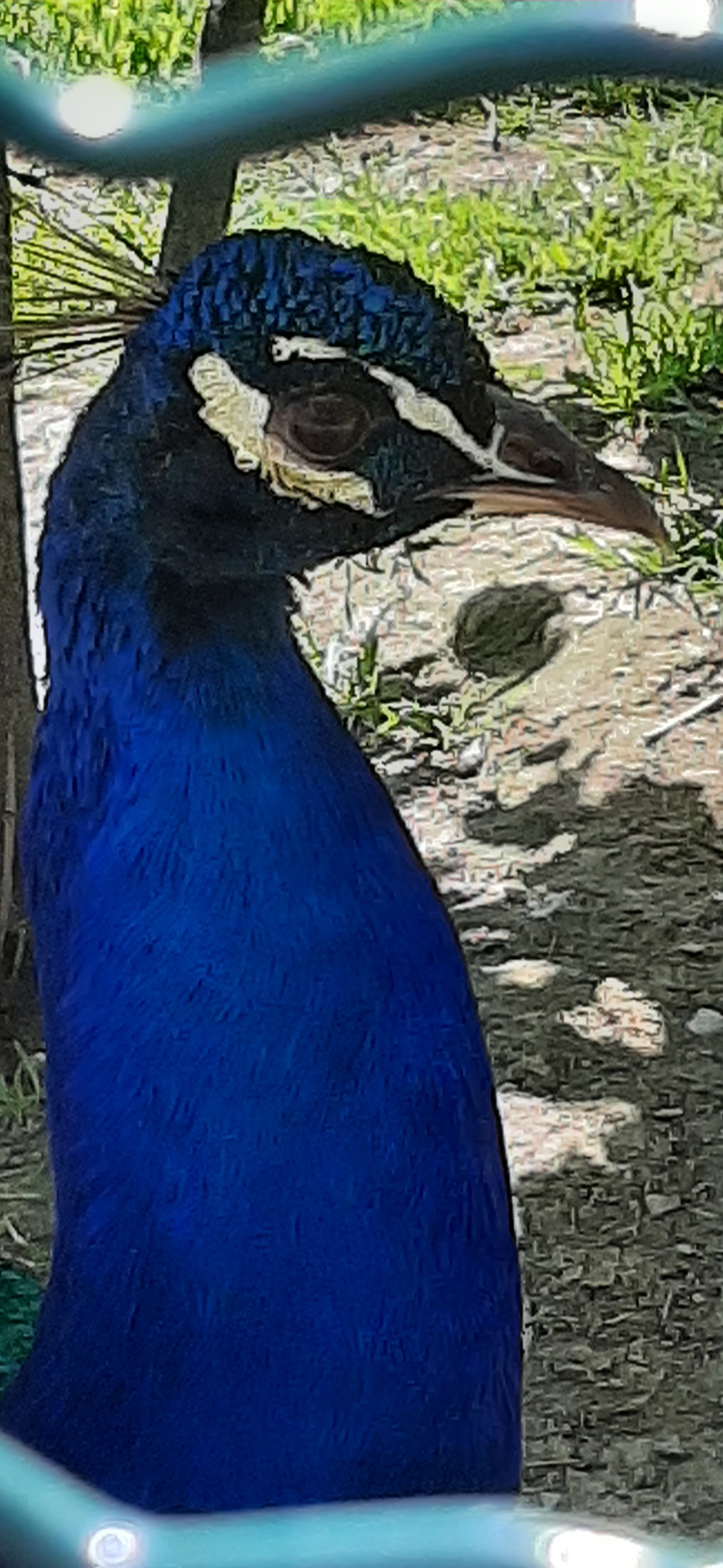 Photo n° 9 de l'avis de Thierry.a fait le 12/06/2023 à 20:21